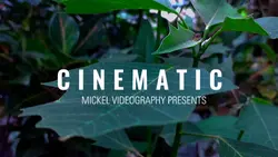 videography 