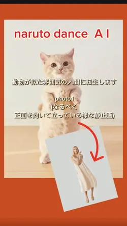 narutodance動物転生版