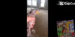 ufjdhwjfkf