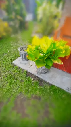 Tiltshift Filter