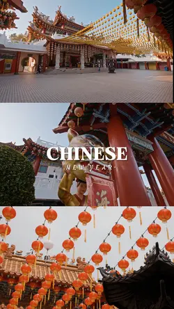 Chinese new year2025