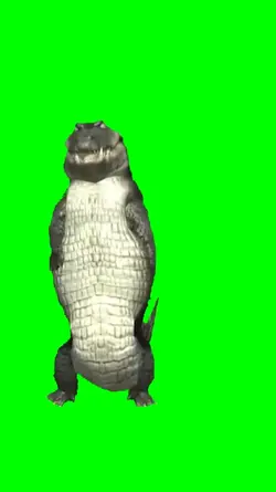 Crocodile Dancing