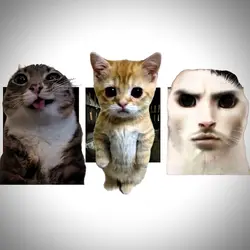 TREND EDIT VIRAL