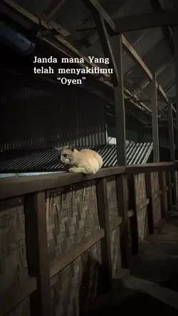 Video sad