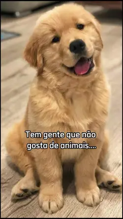 não é meu caso