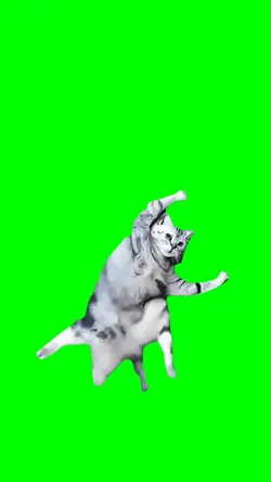 KUNG FU CAT MEME