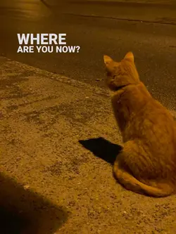where are you now?