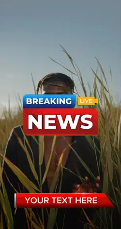 News Headline