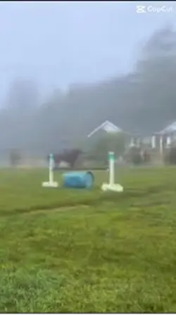 Ai generated video 
