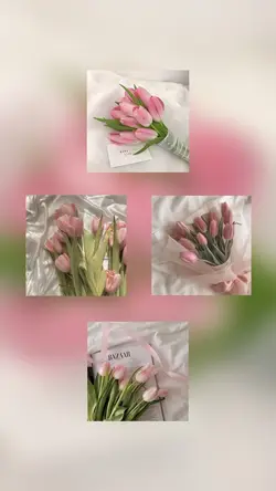 4 photo 