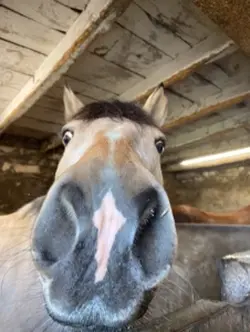 Mon bambi🥰💕