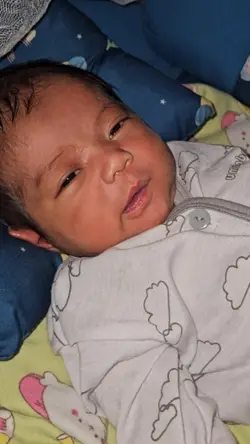 isi hati bayi