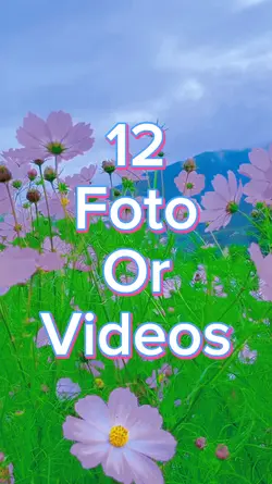 12 Foto Slide