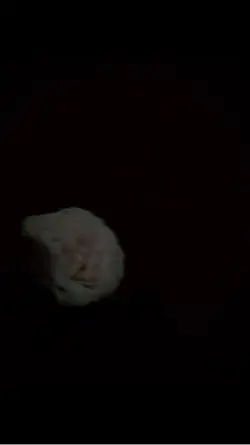 em còn chờ