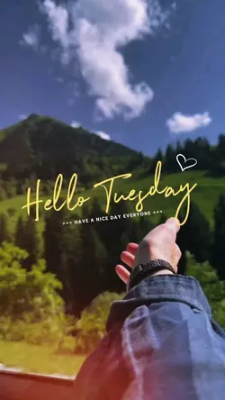 Hello Tuesday 