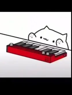 피아노 고양이