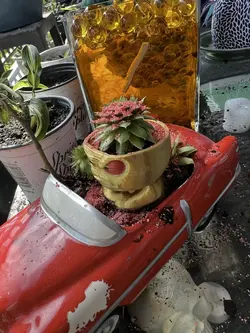 Wishing well 