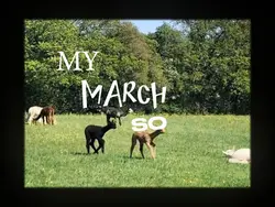 my march so far