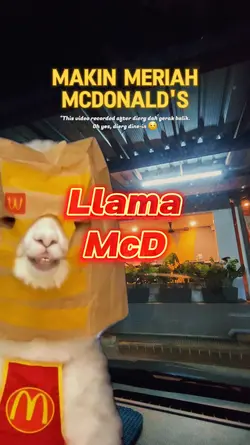 Llama McD