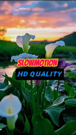 Slowmotion hd