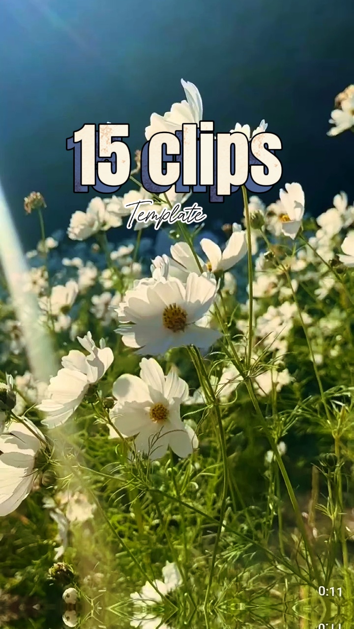 capcut template cover