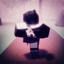 roblox edit
