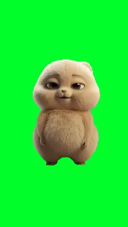 Baby boo bear dance