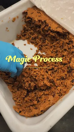 Magic Process