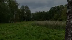 Drone Forest Escape