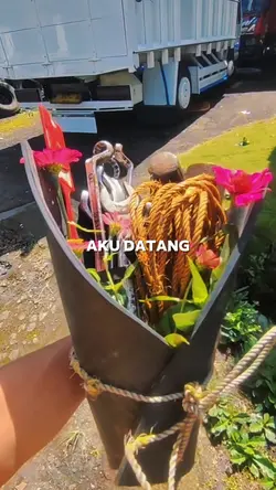 aku datang melamarmu