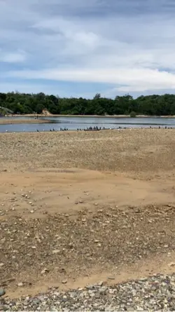 Lake day 