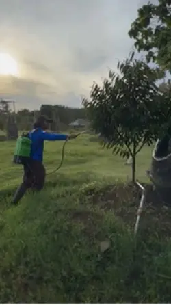 Petani muda