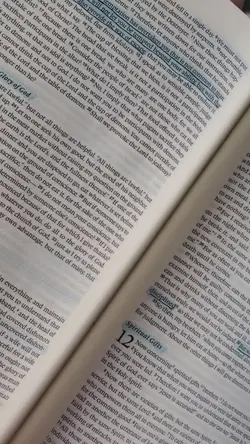 WWJD?