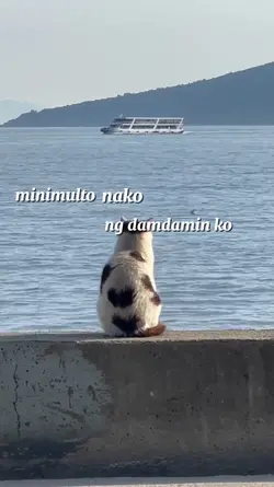 minimulto 