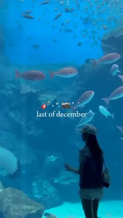 last of december 