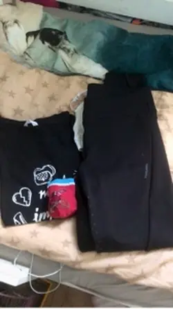 Mini vlog ze stajni 
