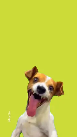 Laughing Dog