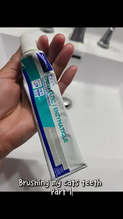 Dental Routine 