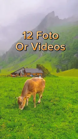 12 Foto Slides