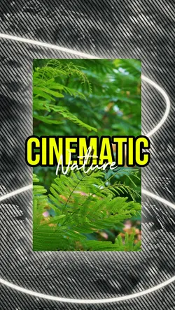CINEMATIC NATURE