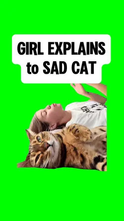DEPRESSED CAT LISTEN