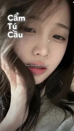 Cẩm tú cầu