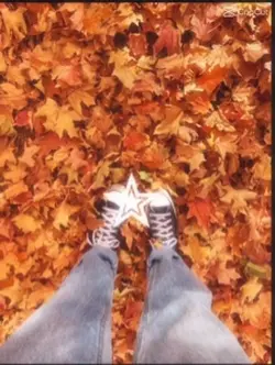 Jesień🍁✨🍄