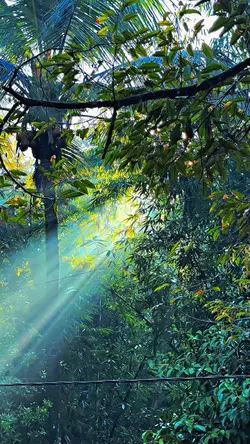 ULTRA HD JERNIH 4K