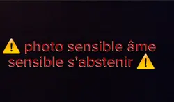 maltraitance animale