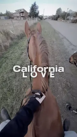 California l o v e 🍊