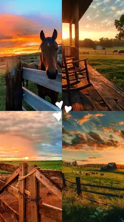 Vida no campo