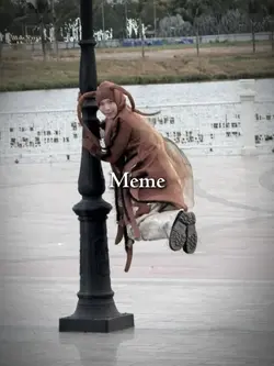 1 pic