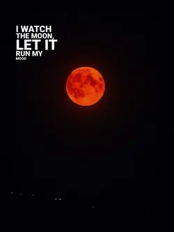 I WATCH THE MOON