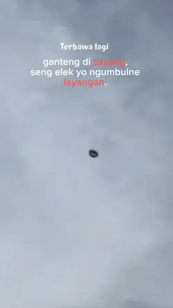 Mentahan layangan
